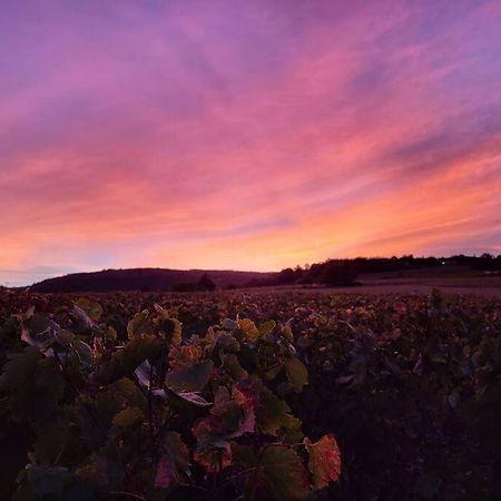 Le Clos Du Botaniste Pouilly-le-Monial 外观 照片