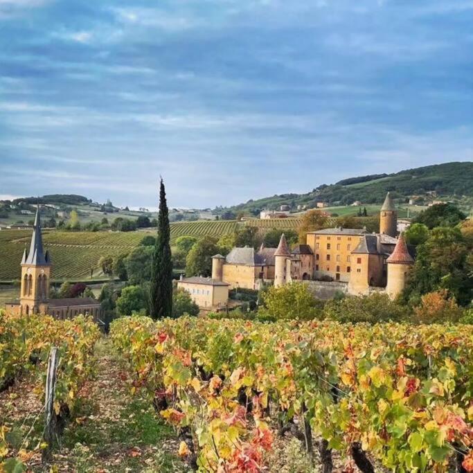 Le Clos Du Botaniste Pouilly-le-Monial 外观 照片